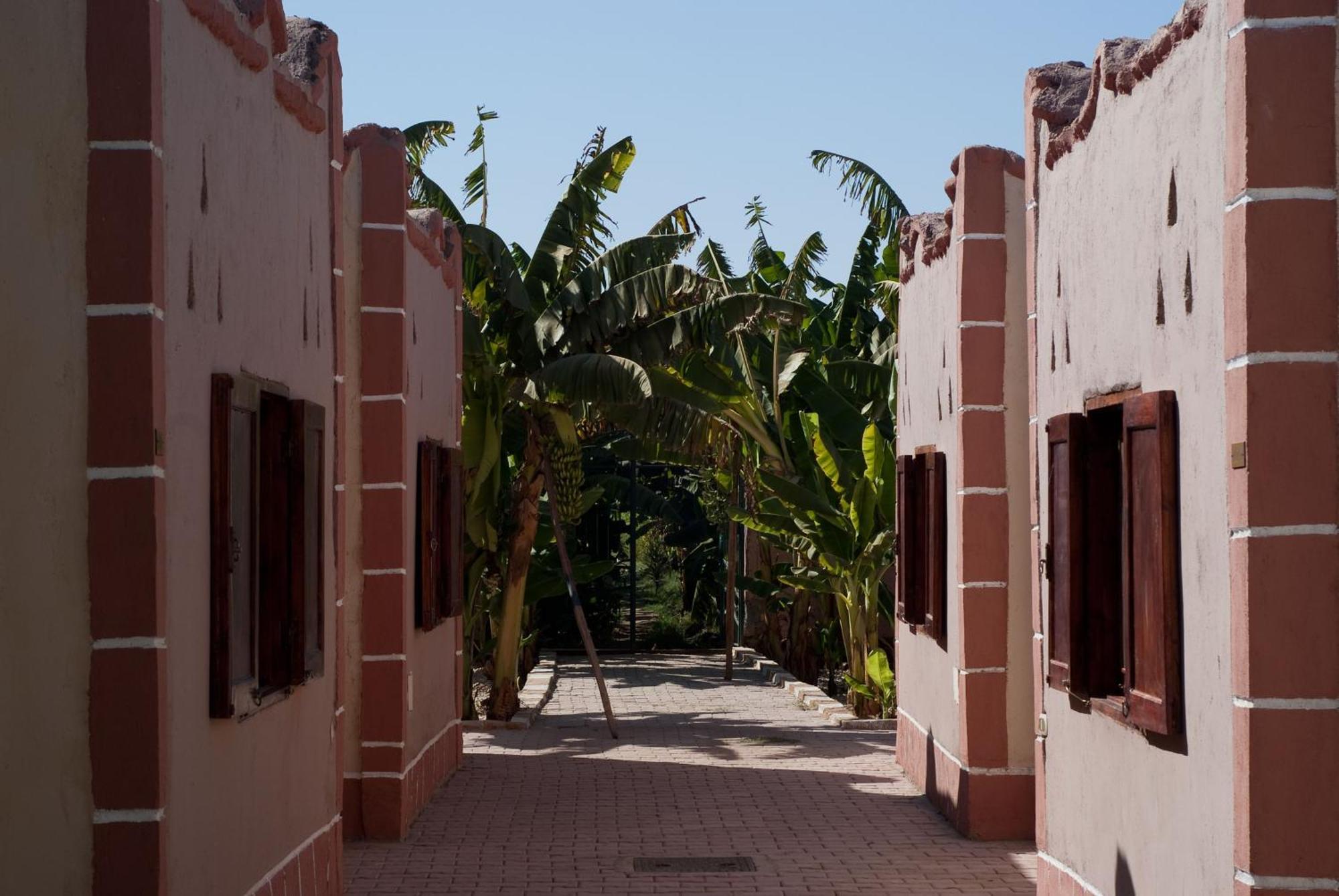Al Baeirat Hotel Luxor Ngoại thất bức ảnh