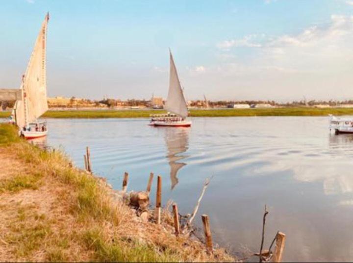 Al Baeirat Hotel Luxor Ngoại thất bức ảnh