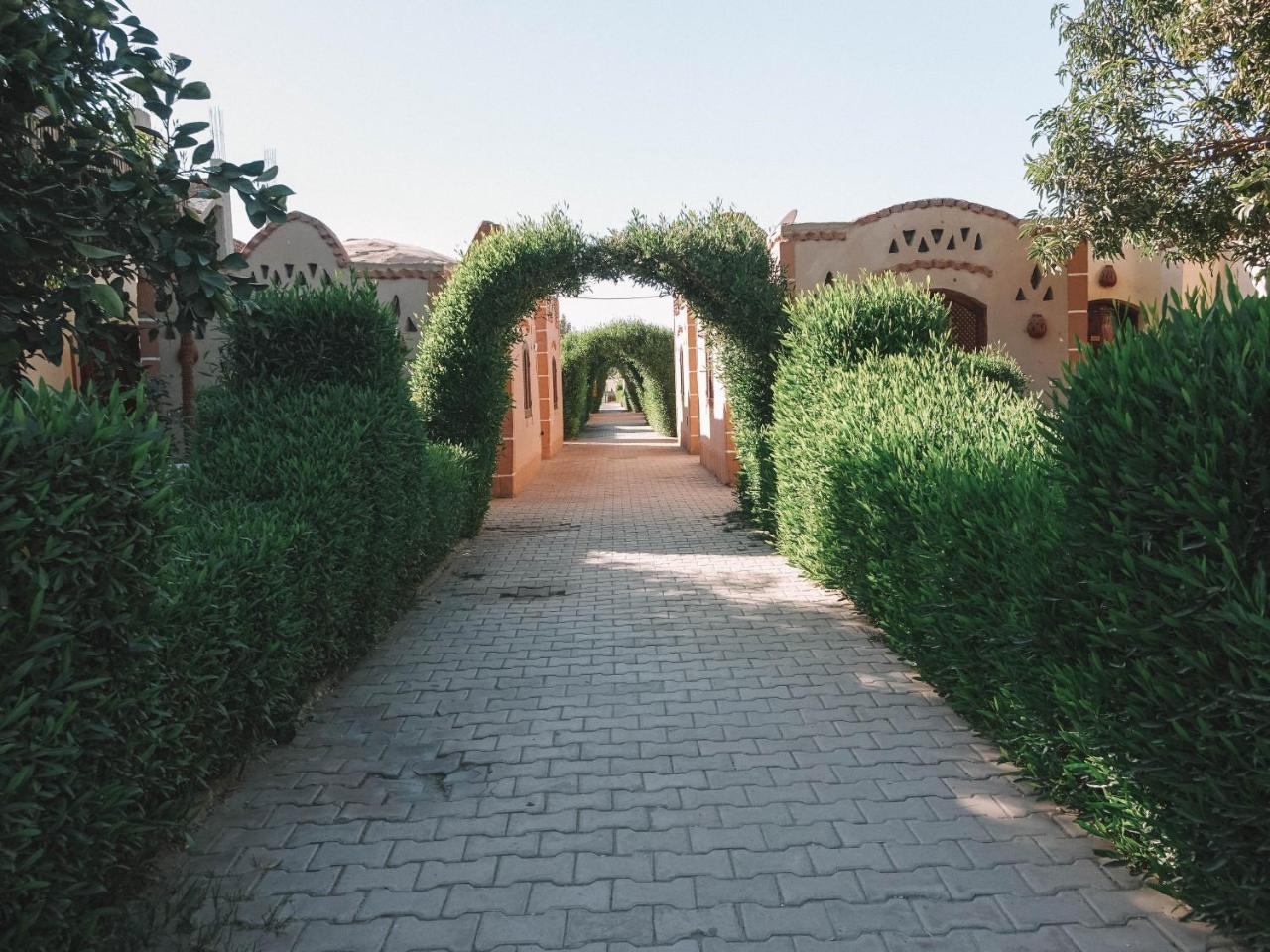 Al Baeirat Hotel Luxor Ngoại thất bức ảnh